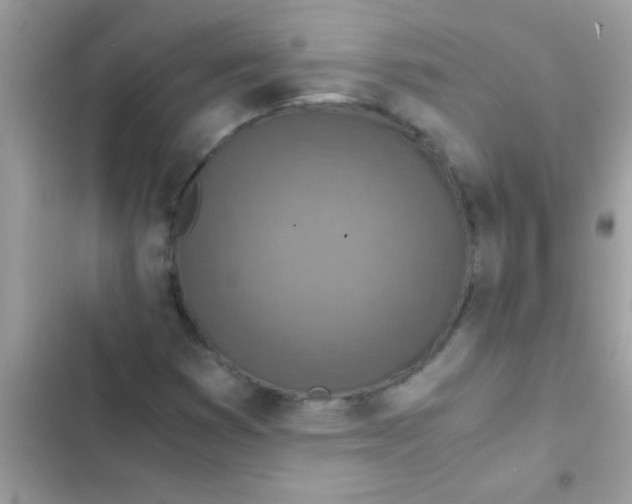 X0000103141353200809191955