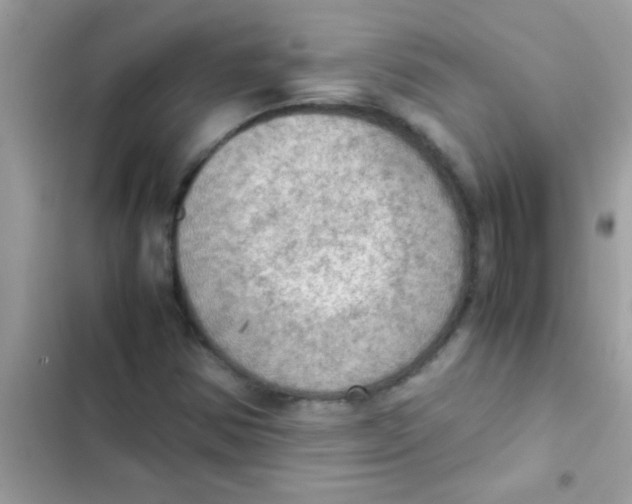 X0000103141354200809191955