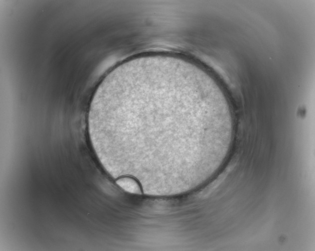 X0000103141355200809191955