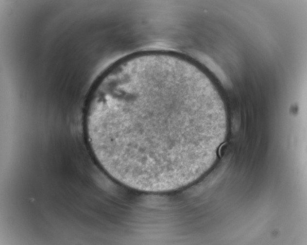 X0000103141356200809191955