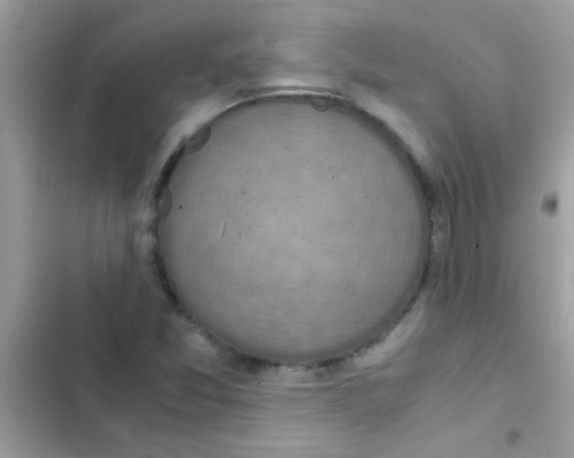 X0000103141357200809191955