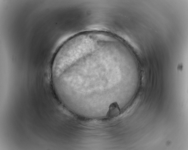 X0000103141358200809191955