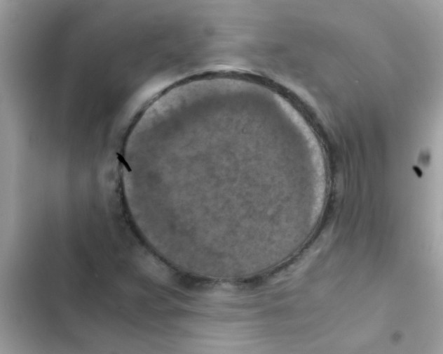 X0000103141359200809191955