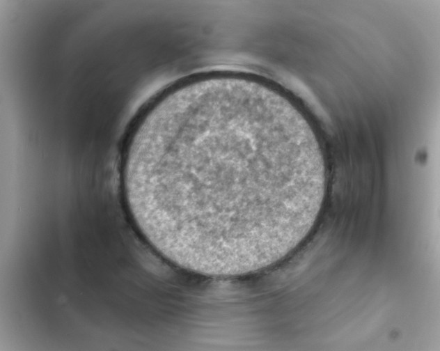 X0000103141360200809191955