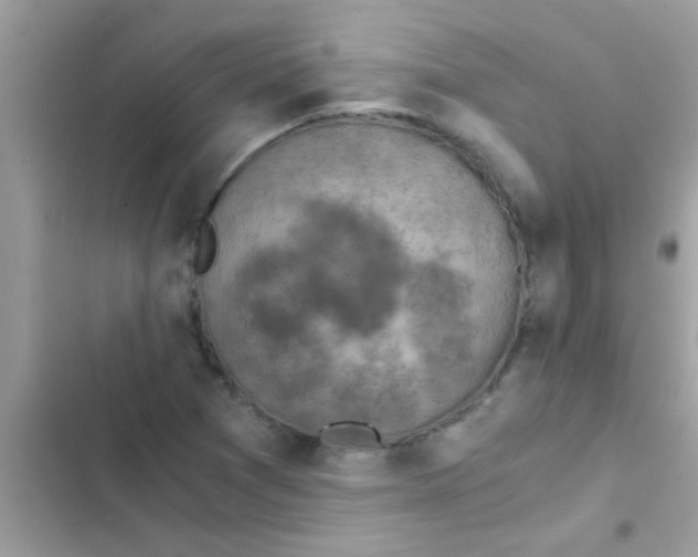 X0000103141361200809191955