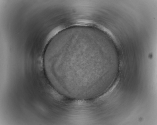 X0000103141362200809191954