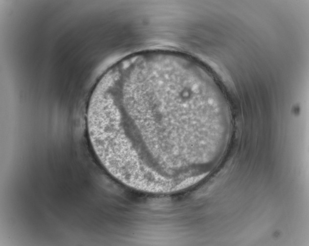 X0000103141363200809191954