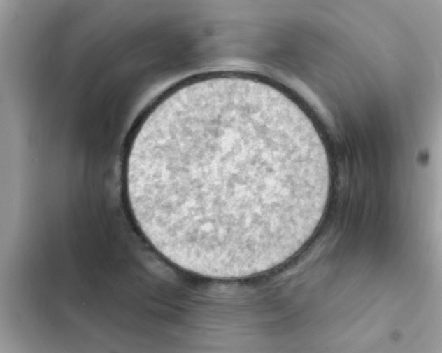 X0000103141364200809191954