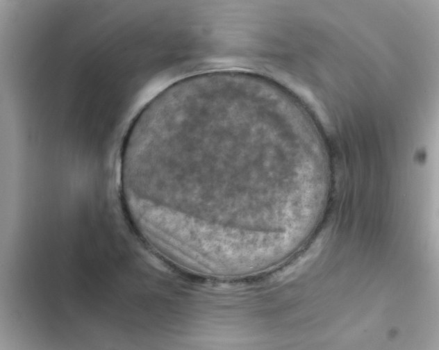 X0000103141365200809191954