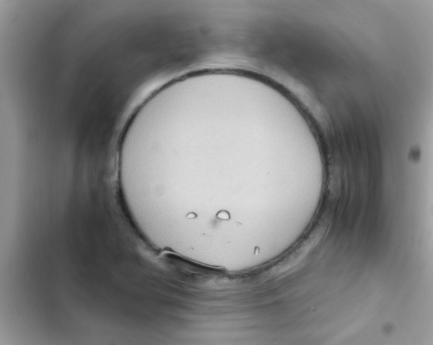 X0000103141366200809191954