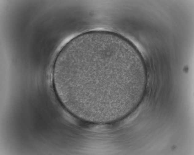 X0000103141367200809191954