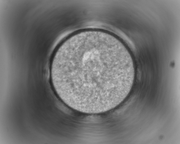 X0000103141368200809191954