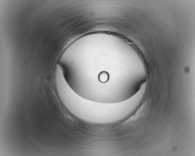 X0000103141369200809191954