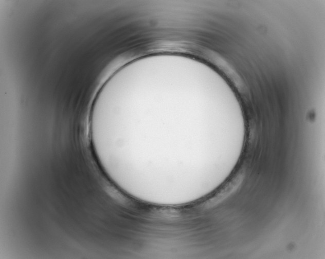 X0000103141370200809191954