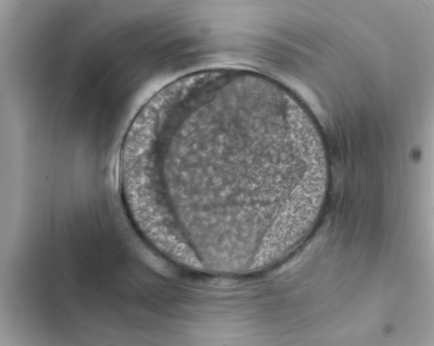 X0000103141371200809191954