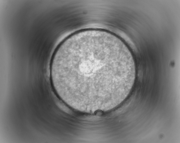 X0000103141372200809191954