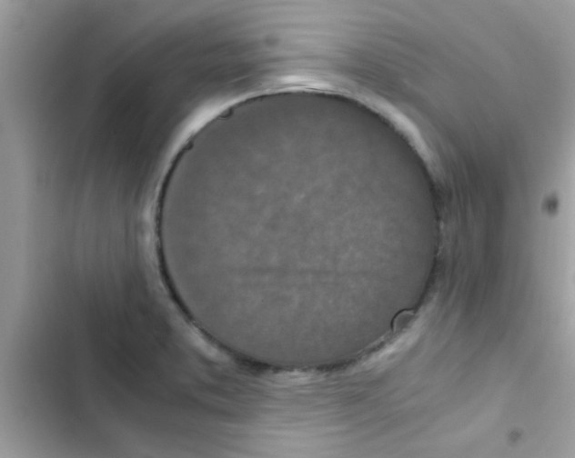 X0000103141373200809191954