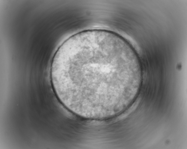 X0000103141374200809191954