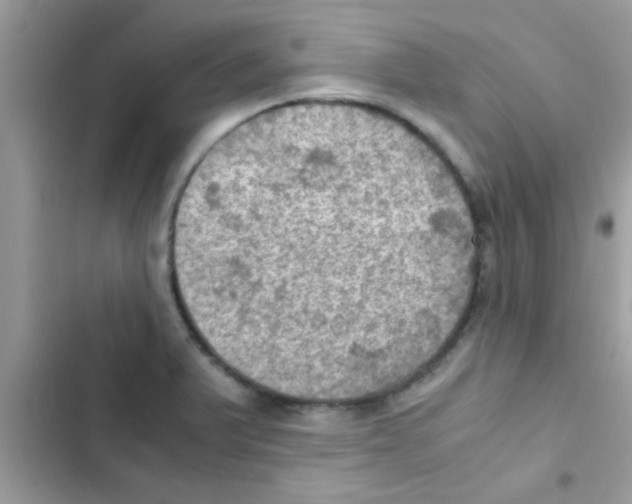 X0000103141375200809191954