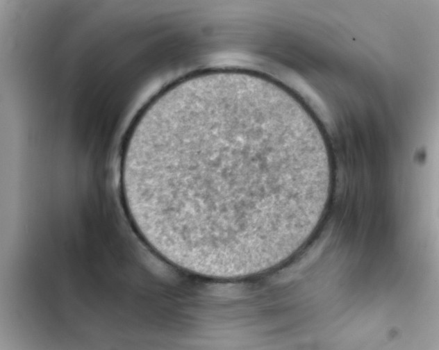 X0000103141376200809191954