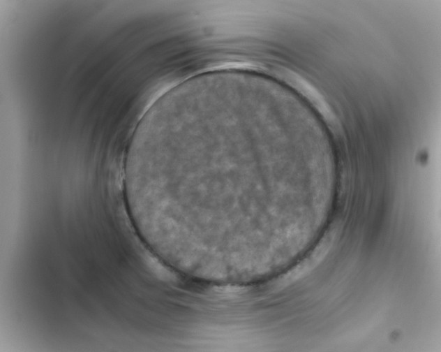 X0000103141377200809191954