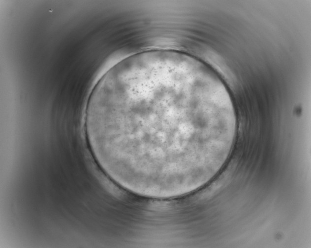 X0000103141378200809191954