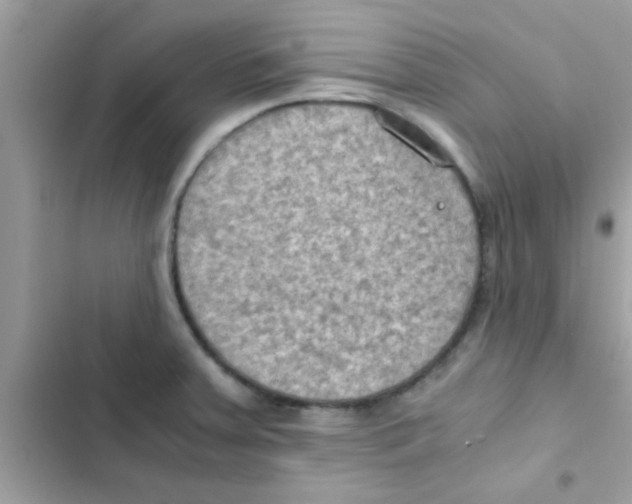 X0000103141379200809191954