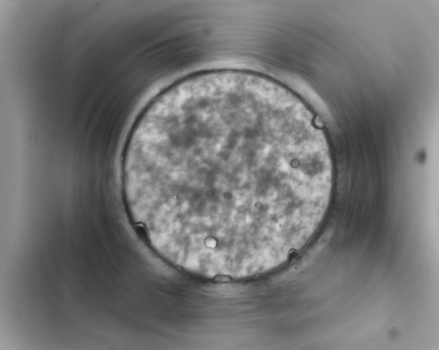 X0000103141380200809191954