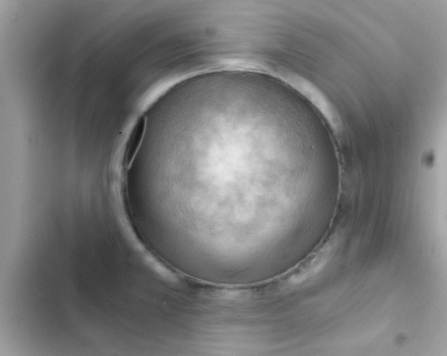 X0000103141381200809191954