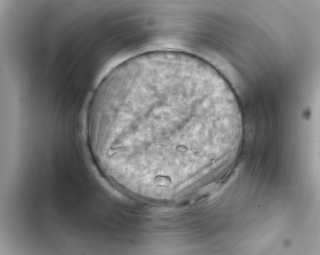 X0000103141382200809191954