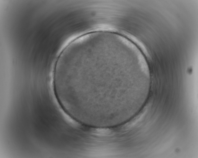 X0000103141383200809191954