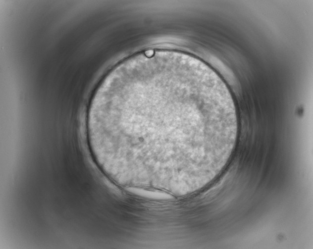 X0000103141384200809191954