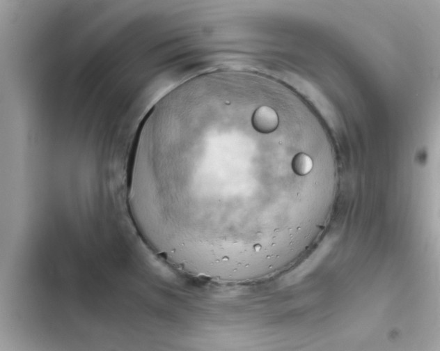 X0000103141385200809191954