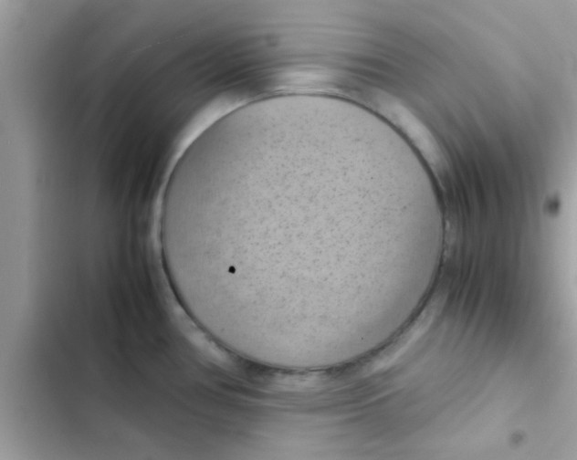 X0000103141386200809191954