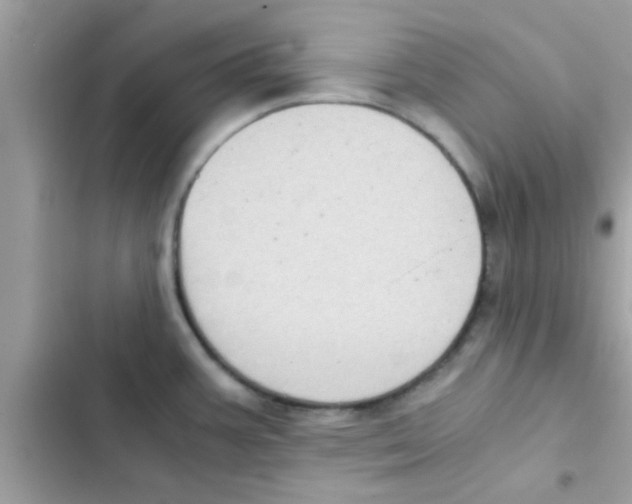 X0000103141387200809191954