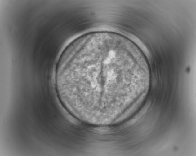 X0000103141388200809191954