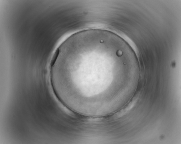 X0000103141389200809191954