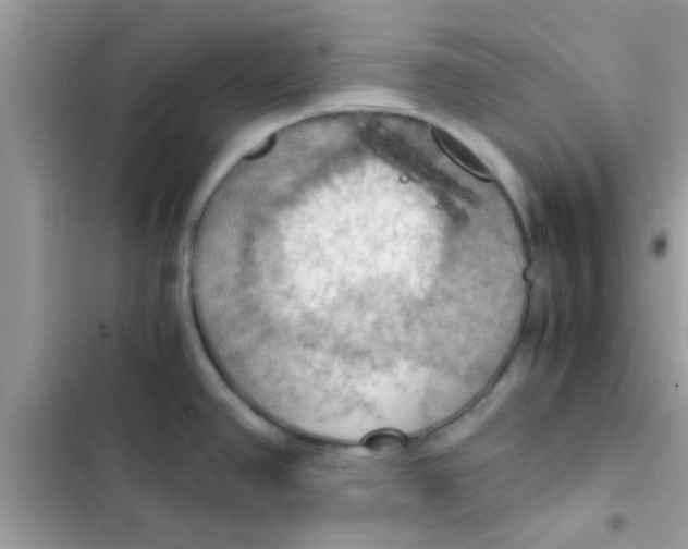 X0000103141390200809191954