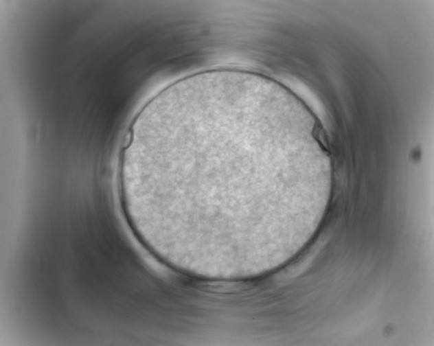 X0000103141391200809191954