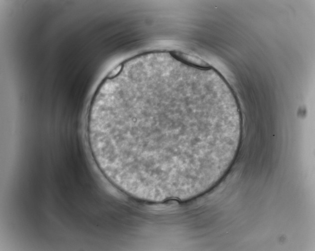 X0000103141392200809191954