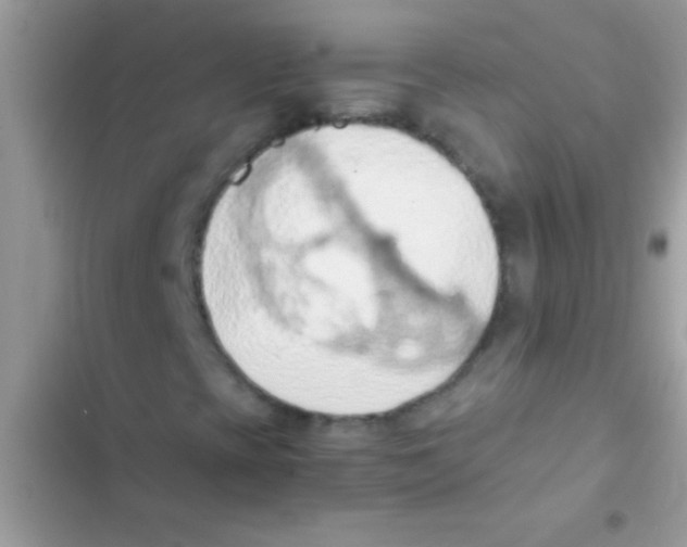 X0000103141393200809191953