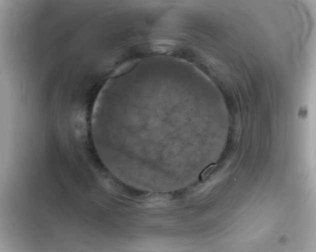 X0000103141394200809191953