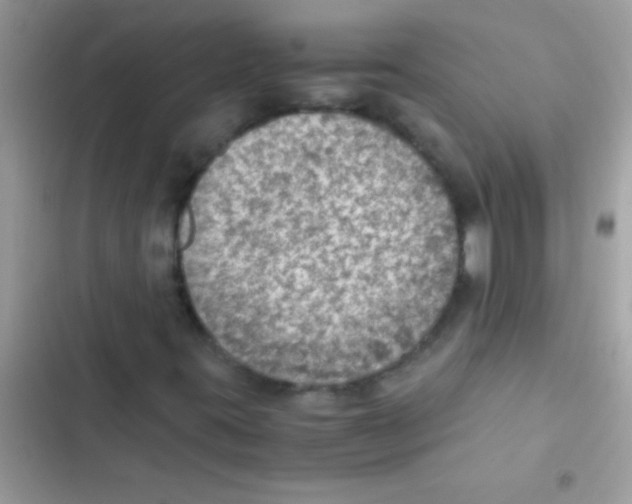 X0000103141395200809191953