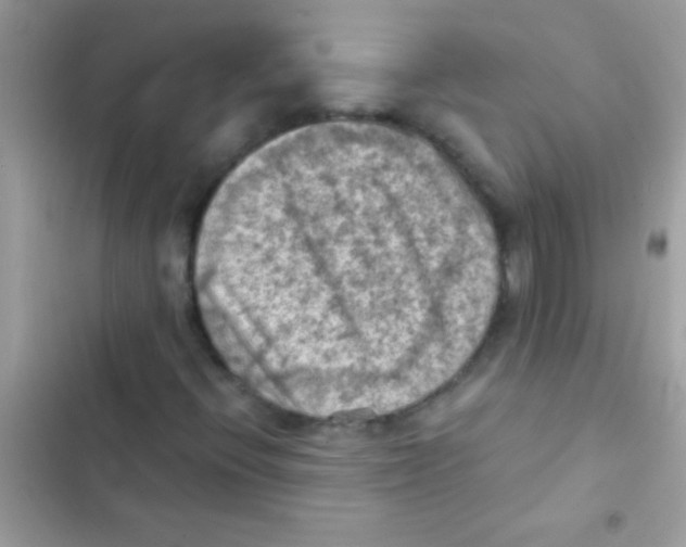 X0000103141396200809191953