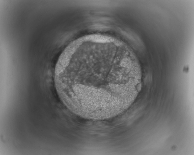 X0000103141397200809191953