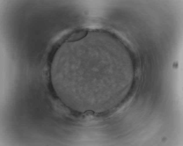 X0000103141398200809191953