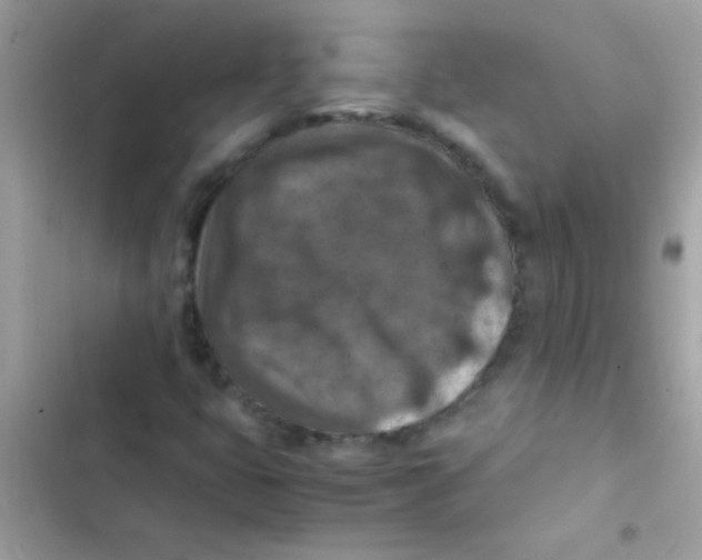 X0000103141399200809191954