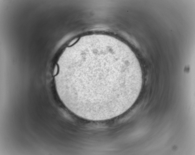 X0000103141400200809191954