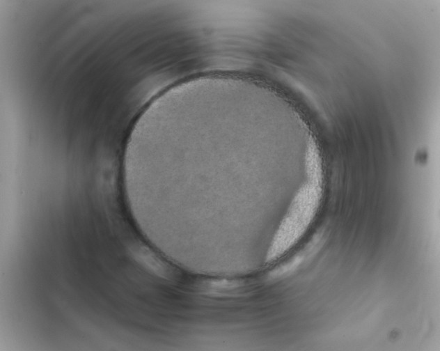 X0000103141401200809191954