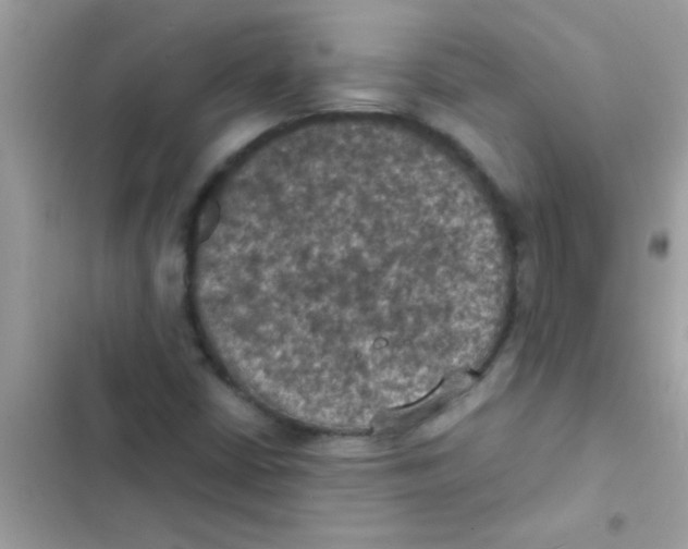 X0000103141402200809191954